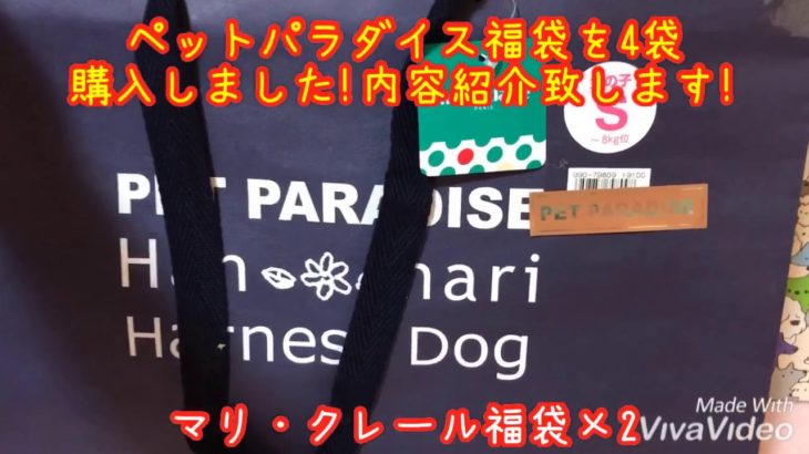 日本スピッツ〈ペットパラダイス福袋 2020年も〉japanesespitz