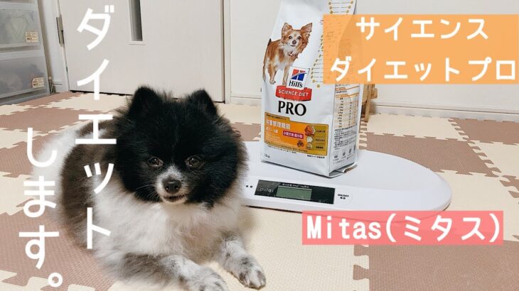 【ダイエット】犬用体重計とダイエットフードを購入しました！