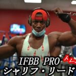 IFBBプロによる完璧な筋肉の作り方【筋トレ】