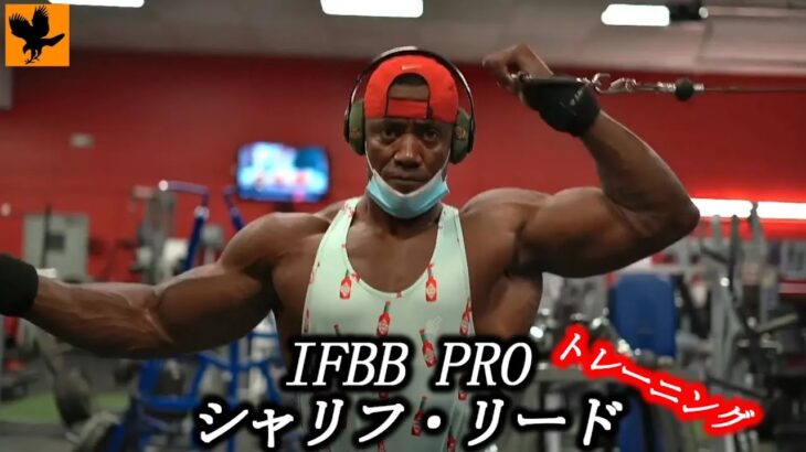 IFBBプロによる完璧な筋肉の作り方【筋トレ】