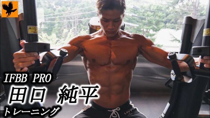 【筋トレ】日本人最高峰のナチュラル筋肉！田口純平のトレーニング｜IFBB PRO